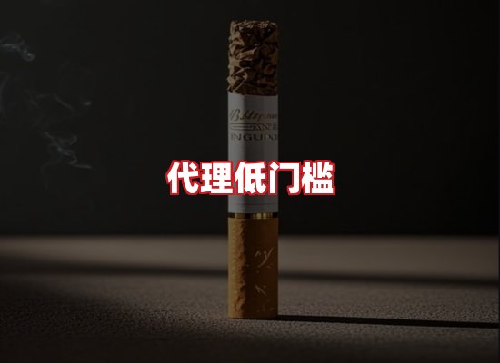 专业团队